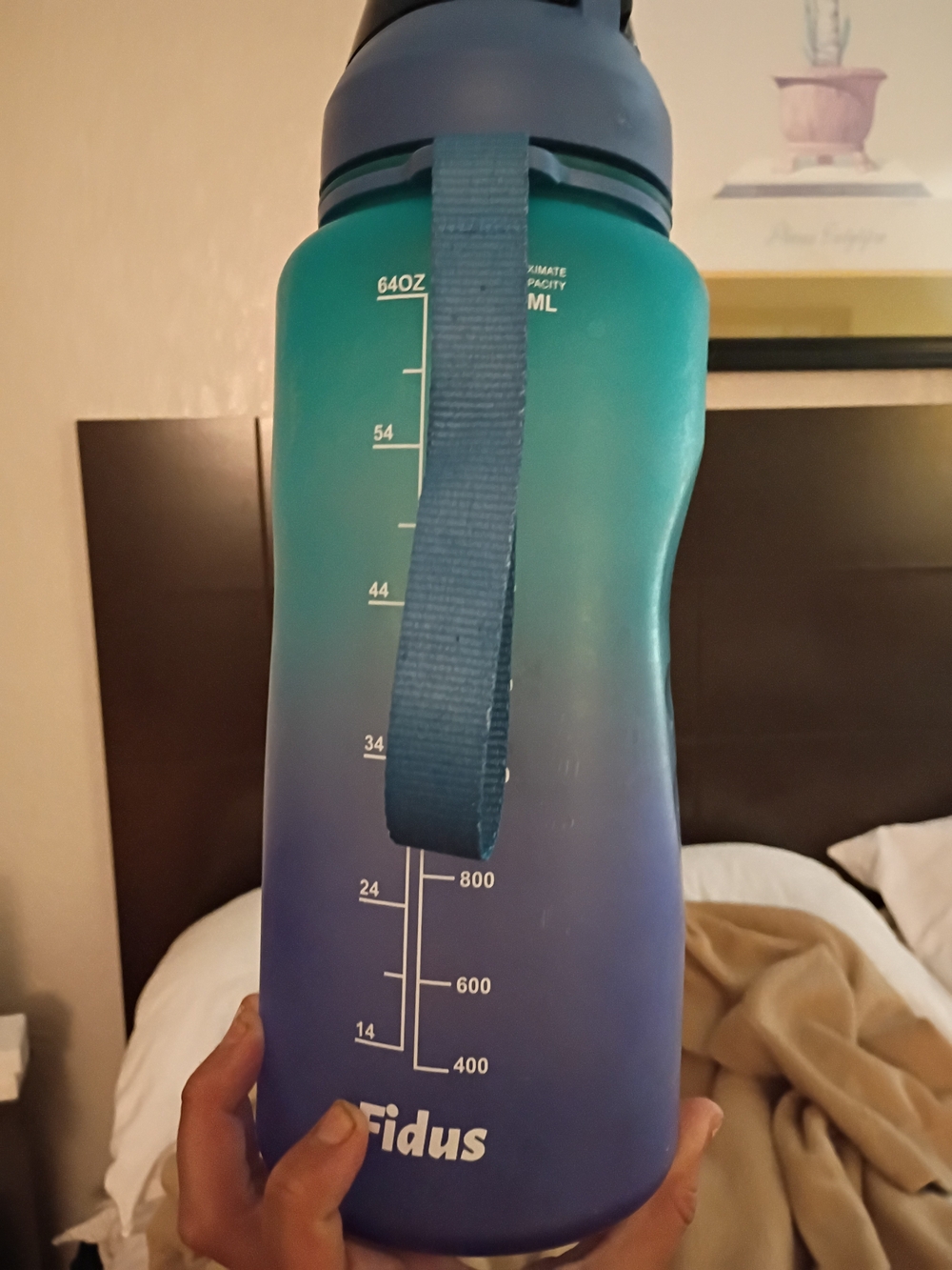 Fidus Ombre Water Bottle - Teal to Purple Gradient